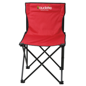 Price Buster Folding Chair w/ Carrying Bag